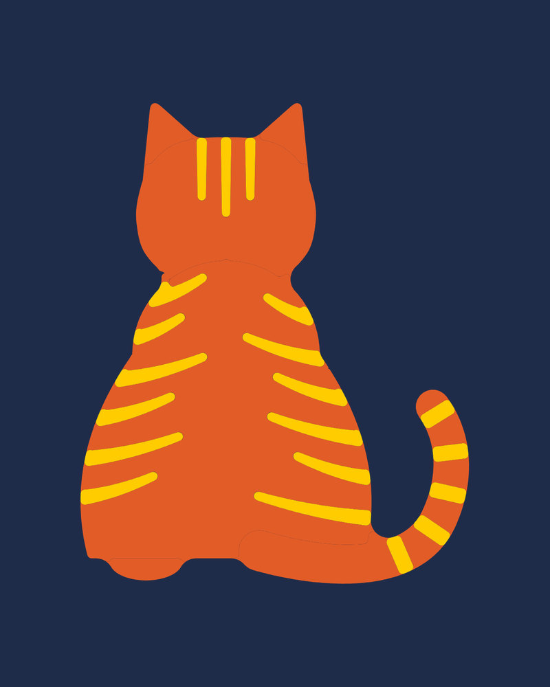 Ginger Tabby: A ginger tabby seen from behind, stripes down both sides
